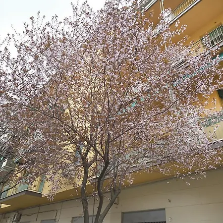 Casa Di Annita E Marinella Апартаменты Болонья